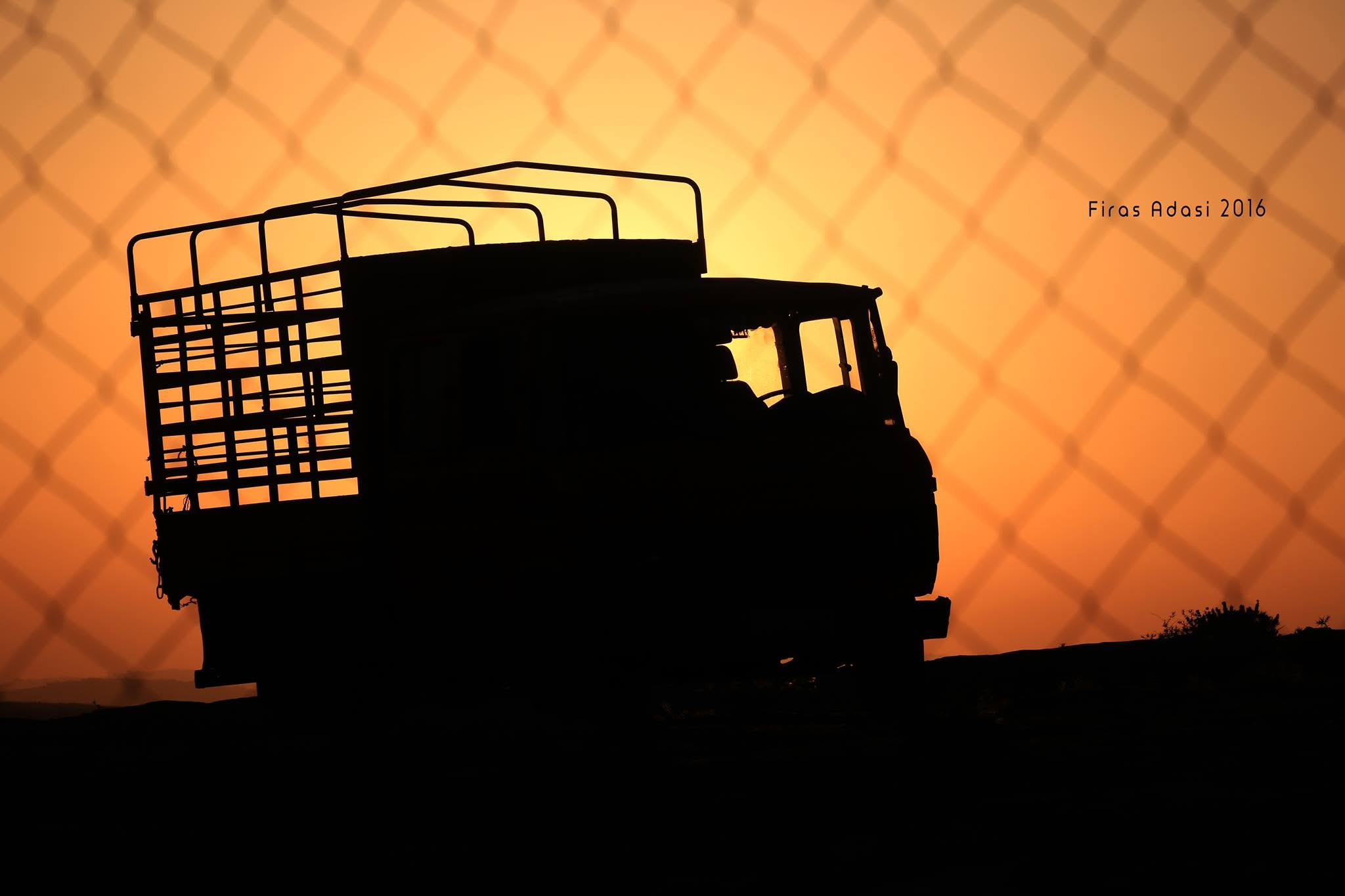 Sunset Silhouettes